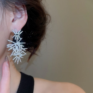 Macro shot of silver fireworks earrings with sparkling zircon stones in a starburst design
