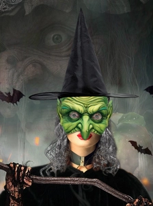 Detail of green witch mask with pointed black hat and silver wavy wig for cosplay costume