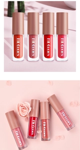 Detailed view of 4-piece velvet matte liquid lip glaze set in various elegant shades