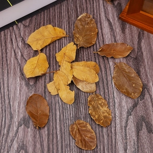 Natural dried autumn leaves on dark wood background for photography and scenery props
