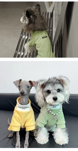 Detailansicht des Hunde-Herbstpullovers mit kontrastierendem Stehkragen und Baumwolle