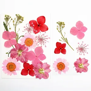 Dettaglio di 12 fiori secchi Pink Flower Field per resina DIY e nail art decorativa
