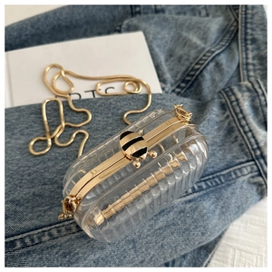 Detailed shot of a transparent acrylic box bag with a golden bee clasp and chain strap
