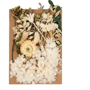 DIY kit with preserved dried flowers, cream hydrangea petals, and daisy on cardboard