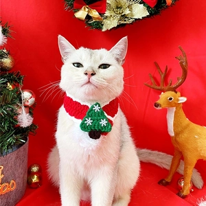 Close-up of white cat wearing a handmade knitted Christmas tree pet scarf in festive red