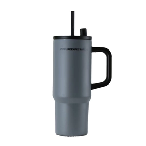 Gray 316 stainless steel insulated tumbler with handle, straw and large capacity