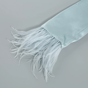 Détail de la bordure en plumes élégantes sur le tissu en satin bleu clair soyeux
