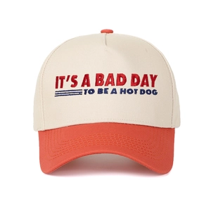 Detailed embroidery view of 'IT'S A BAD DAY TO BE A HOTDOG' text on color-block cap