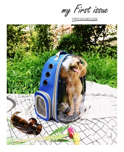 Blue pet backpack with clear window and side ventilation holes shown on a picnic mat
