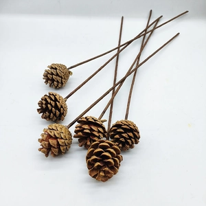 Sechser-Set natürliche Zapfen an braunen Stielen für Weihnachtsdeko und Floristik