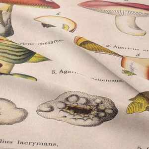 Close-up of vintage mushroom botanical print on natural textured textile fabric