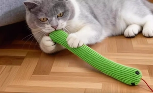 Detail of green knit snake dog toy with texture on wooden floor for pet chewing