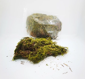 Vista macro di muschio verde naturale essiccato per composizioni floreali e micro paesaggi