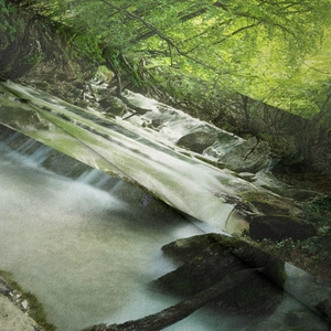 Close-up of the fine texture and lush forest landscape print on this soft fabric tapestry
