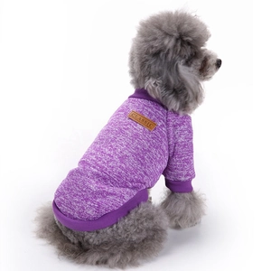 Detaillierte Strickstruktur des lila Hundepullovers mit klassischem Lederetikett