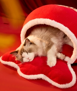 Dettaglio della cuccia per gatti in peluche rosso con bordo in pelliccia e cuscino
