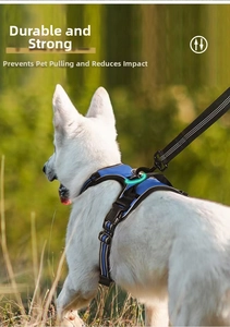 Blue reflective dog harness and leash set shown on a white large dog in a forest setting