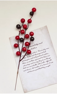 Detailed view of glossy red artificial berries on vintage letter paper decoration