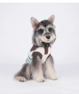 Detail eines gestreiften Hundepullovers mit dunkelbraunem Kragen und Stricktextur