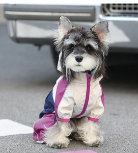 Detail of waterproof dog raincoat with zipper closure and elastic cuffs for pet protection