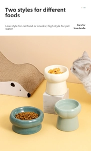 Ceramic raised cat bowls in cream white and sage green for neck protection and food