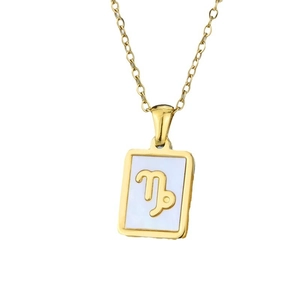 18K gold plated Capricorn necklace with shell square pendant for women minimalist style