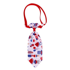Detail of USA Independence Day pet tie featuring red, white and blue flag patterns