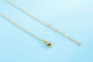 Détail du fermoir mousqueton doré et de la chaîne d'extension sur le collier en forme de cœur