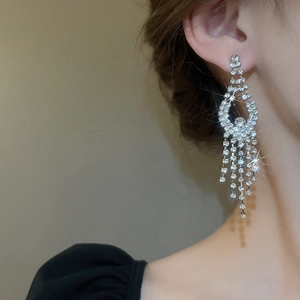 Detailed view of silver tassel earrings with sparkling crystals worn by a model