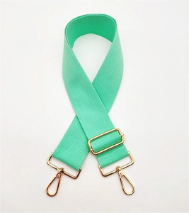 Detail of mint green adjustable canvas strap with gold metal hardware for handbags