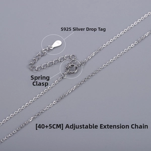 Gros plan d'une chaîne en argent sterling S925 avec fermoir à ressort et extension