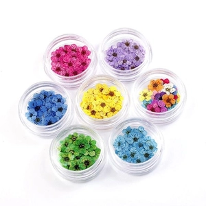 Set of 7 colorful dried flowers in small clear jars for nail art and DIY resin crafts