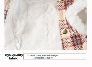 Detail of warm plaid pet vest with soft faux fur lining and golden metal buttons