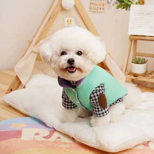 Winter pet dog vest and plaid shirt set worn by a Bichon Frise puppy at home