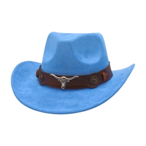 Detail of light blue suede cowboy hat with brown leather band and silver bull head ornament
