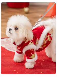 Détail du manteau d'hiver rouge pour chien style chinois avec broderies et fourrure