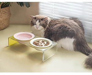 Double elevated pet bowls with acrylic stand for cats and small dogs in home setting