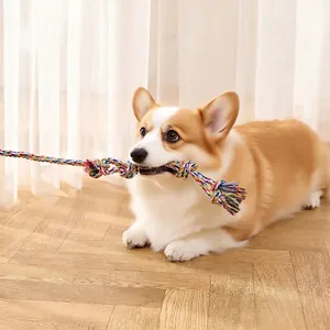 Interactive colorful cotton rope toy for dogs being pulled by a Corgi in home setting