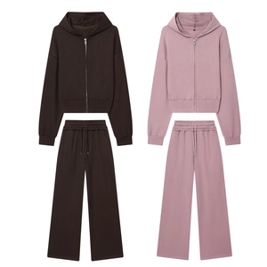 Tenue Sweat À Capuche Et Pantalon Femme Coton Polyester Tricot Zip Sweat Court Jambe Large Décontracté Uni Streetwear