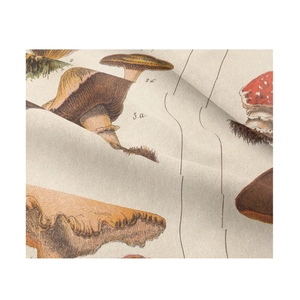Macro shot of vintage mushroom botanical print on textured beige bohemian fabric tapestry