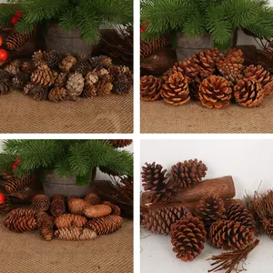Natural Pine Cones Dried Wood Ornaments Rustic Brown Pinecones For Christmas DIY Crafts Wedding Table Home Decor