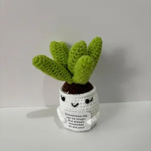 Handmade crochet succulent plant with motivational card and smiley face pot detail