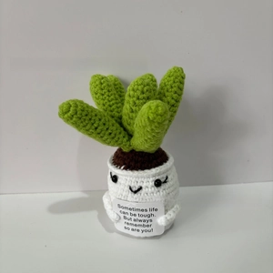 Handmade crochet succulent plant with motivational card and smiley face pot detail