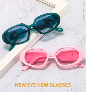Detailed view of oval leaf sunglasses showing the high-quality hinge and inner temple CE mark