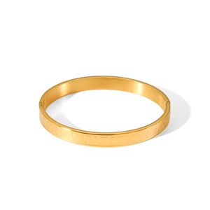 Macro shot of 18k gold plated stainless steel bangle with engraved Roman numerals
