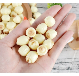 Close-up of hand holding realistic PVC artificial lotus seeds for dollhouse DIY decor