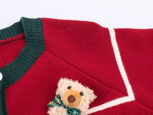 Detail of red Christmas knit cardigan with green trim and a brown plush teddy bear