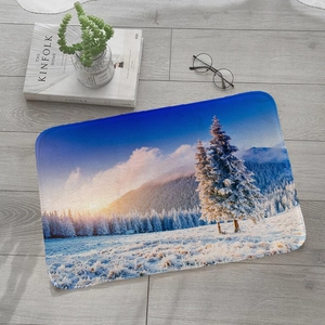Macro shot of snow scenery flannel absorbent floor mat on grey wood floor with home decor