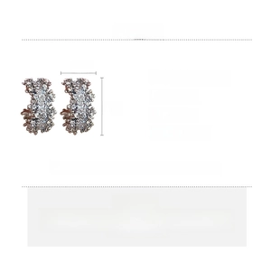 Spécifications détaillées des boucles d'oreilles en C argentées strass, taille 2x2 cm