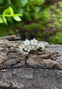 Macro shot of S925 silver forget-me-not flower ring on natural bark texture